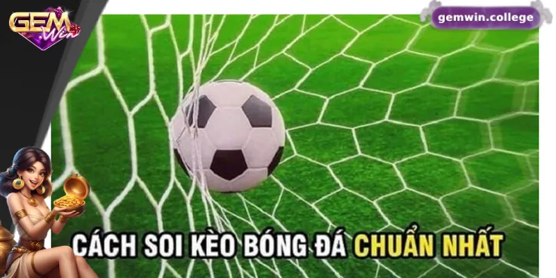 Bí quyết cá cược hiệu quả từ cao thủ