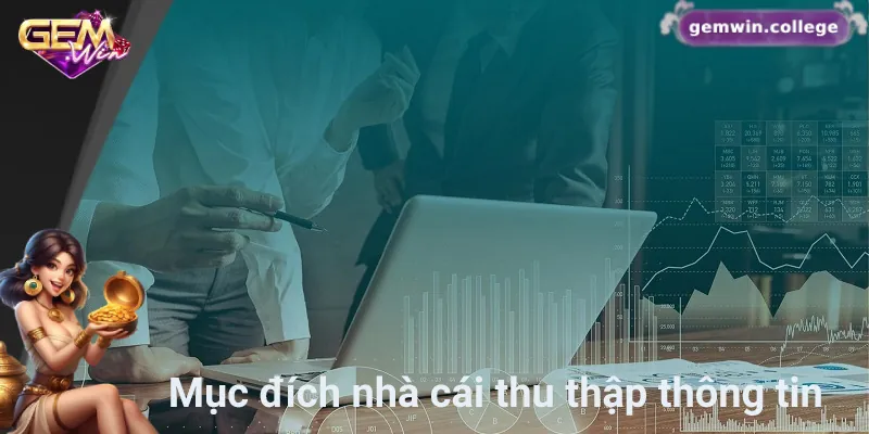 Gemwin thu thập thông tin để cải thiện dịch vụ và hỗ trợ bảo mật 