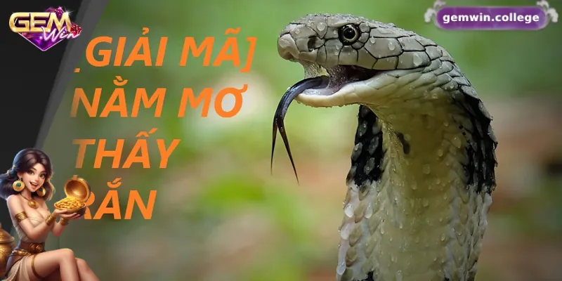 Giải mã các giấc mơ về rắn