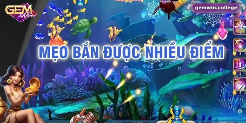 Kinh nghiệm chơi bắn cá dễ thắng